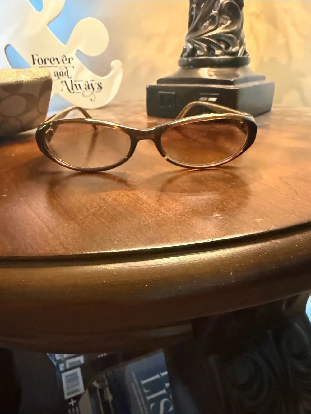 Coach Sunglasses Case in Brown Velvet with Gold Logo